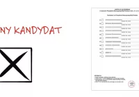 Dziś wybory prezydenckie - jak oddać głos, jak wygląda karta do głosowania? Zobacz spoty - zdjęcie główne