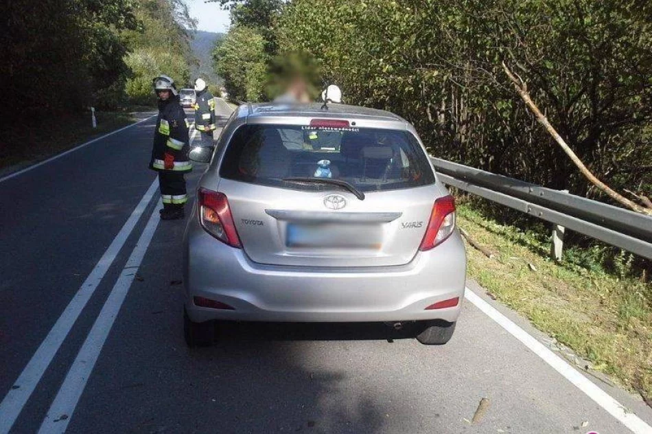 Samochód uderzył w powalone na drodze drzewo - zdjęcie 2
