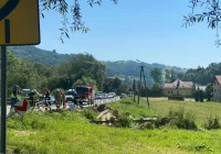 Dłużyca wypadła na chodnik, złamała słup i zerwała linie energetyczne - zdjęcie główne