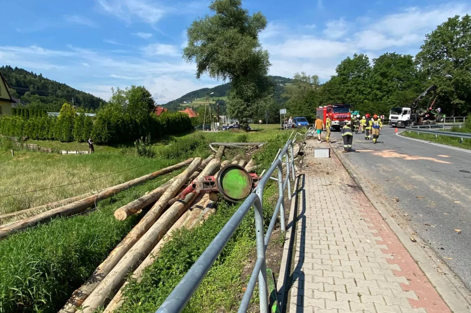 Dłużyca wypadła na chodnik, złamała słup i zerwała linie energetyczne - zdjęcie 2