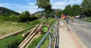 Dłużyca wypadła na chodnik, złamała słup i zerwała linie energetyczne - zdjęcie 2
