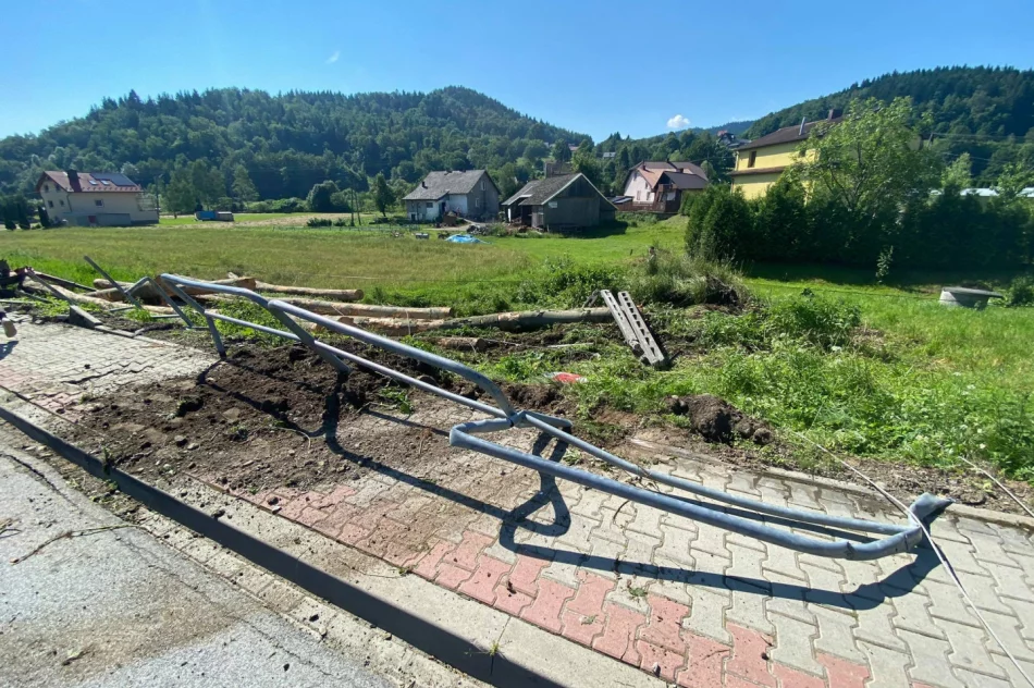 Dłużyca wypadła na chodnik, złamała słup i zerwała linie energetyczne - zdjęcie 4