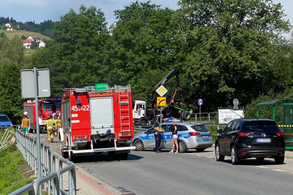 Dłużyca wypadła na chodnik, złamała słup i zerwała linie energetyczne - zdjęcie 5