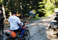 Mandat od Straży Granicznej za wjazd do lasu - zdjęcie główne