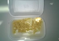 Jak z „opieki” to może być takie, że kot nie chce zjeść? - zdjęcie główne