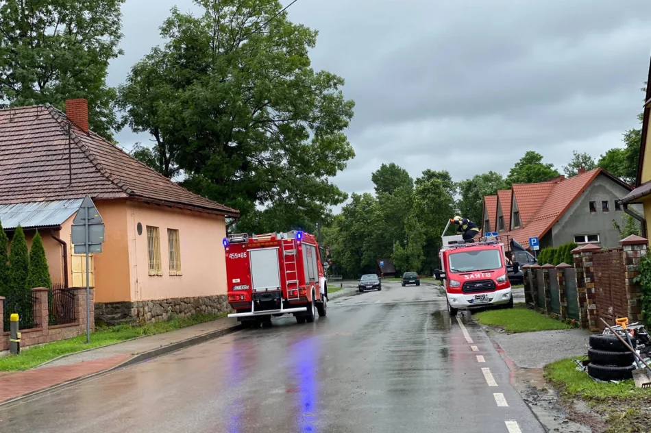 Ponad 20 interwencji straży po gwałtownej burzy. Zalane posesje, zatkane przepusty, powalone drzewa - zdjęcie 4
