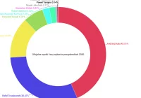 Oficjalne wyniki wyborów Prezydenta RP: Duda 43,5%, Trzaskowski 30,46% - zdjęcie główne