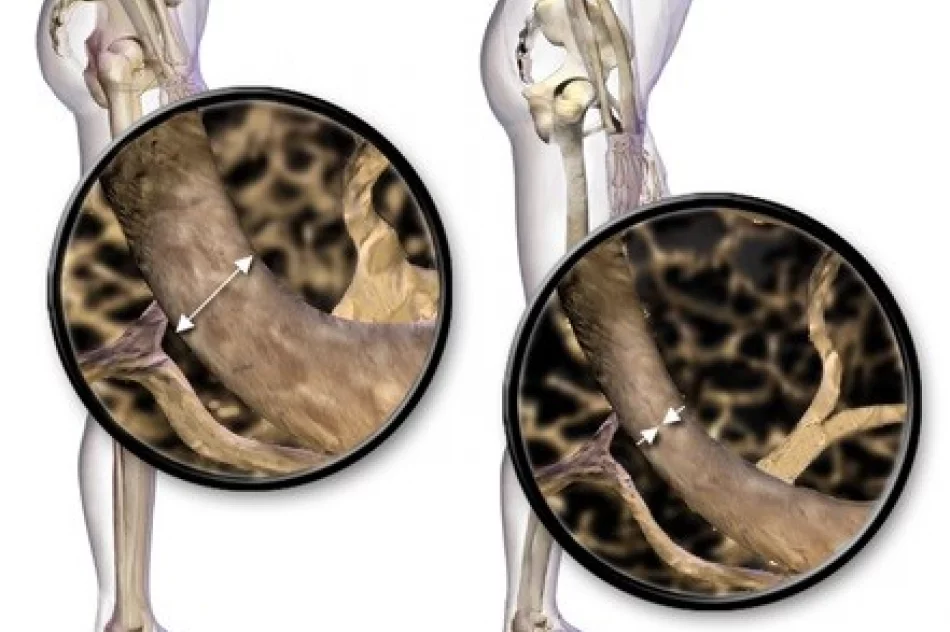 Bezpłatne badania w Galicyjskim Miasteczku Zdrowia już w najbliższą niedzielę - zdjęcie 2