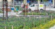 Rewitalizacja dobiega końca - zdjęcie 3