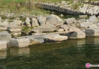 Kolejny niebezpieczny skrót - o tragedię nietrudno - zdjęcie główne