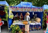 Moc kolorów i zapachów: Święto Owocobrania w Łącku - zdjęcie główne