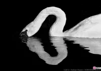 Zdjęcia inne niż wszystkie - zdjęcie główne