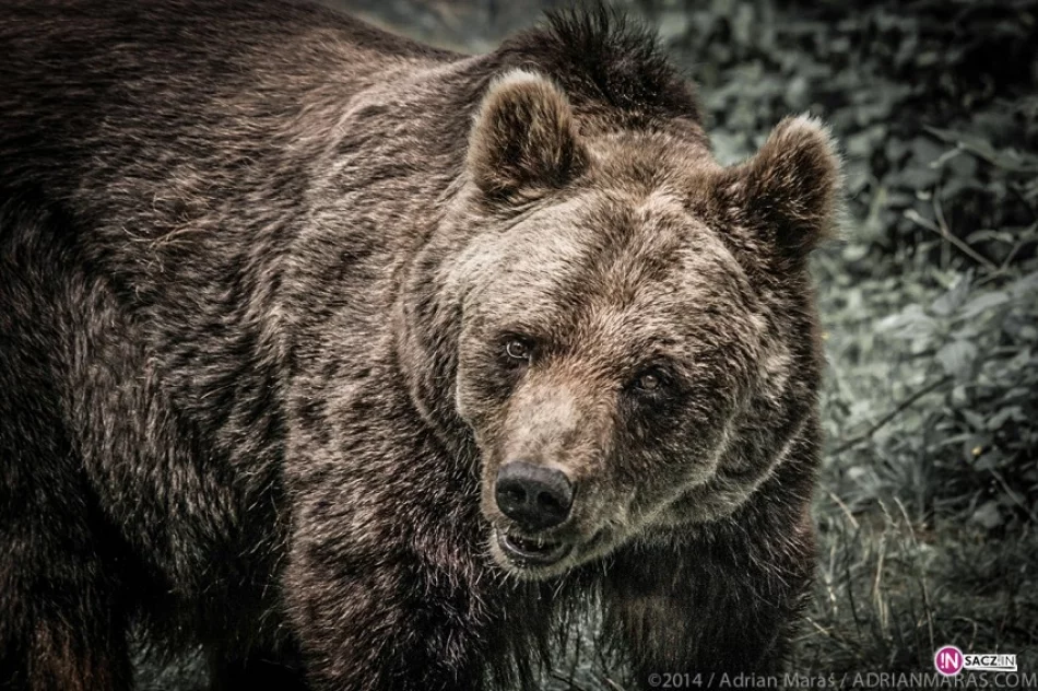 Zdjęcia inne niż wszystkie - zdjęcie 2