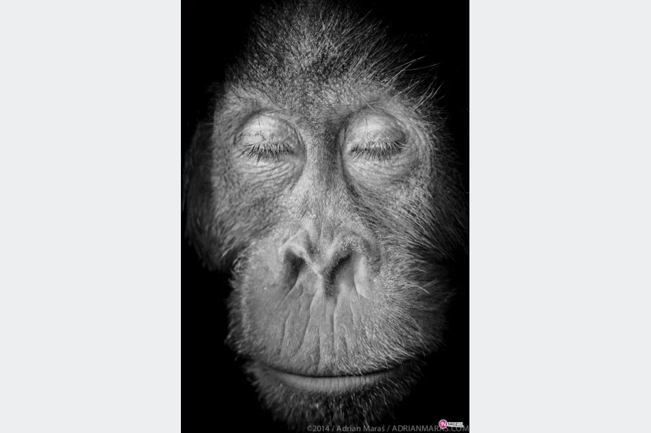 Zdjęcia inne niż wszystkie - zdjęcie 3