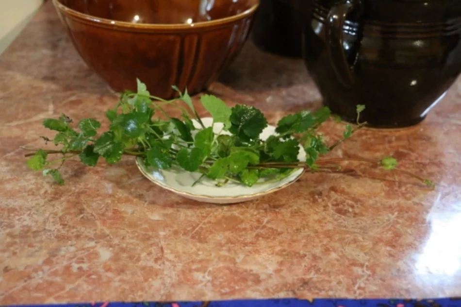 Kulinarny webinar z zagórzańskimi przysmakami - zdjęcie 6