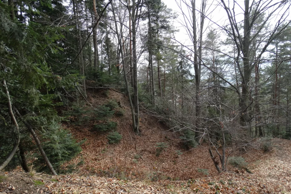 Arturiańscy rycerze Beskidu Wyspowego - zdjęcie 2