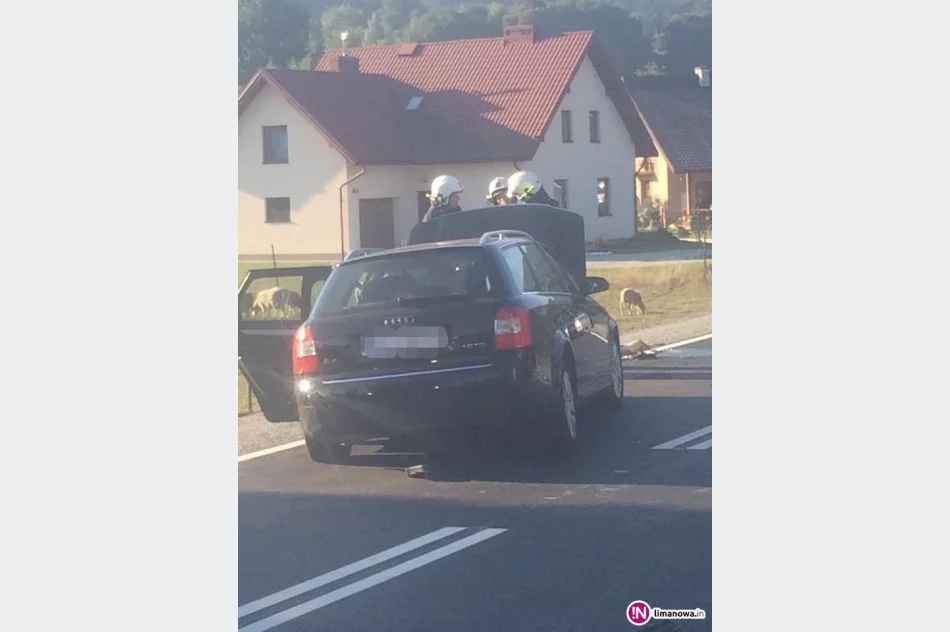 Groźnie wyglądająca kolizja. Kierującą oślepiło słońce - zdjęcie 4