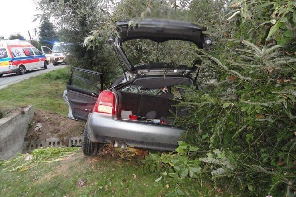 Tylicz – dachowanie samochodu osobowego - zdjęcie 4