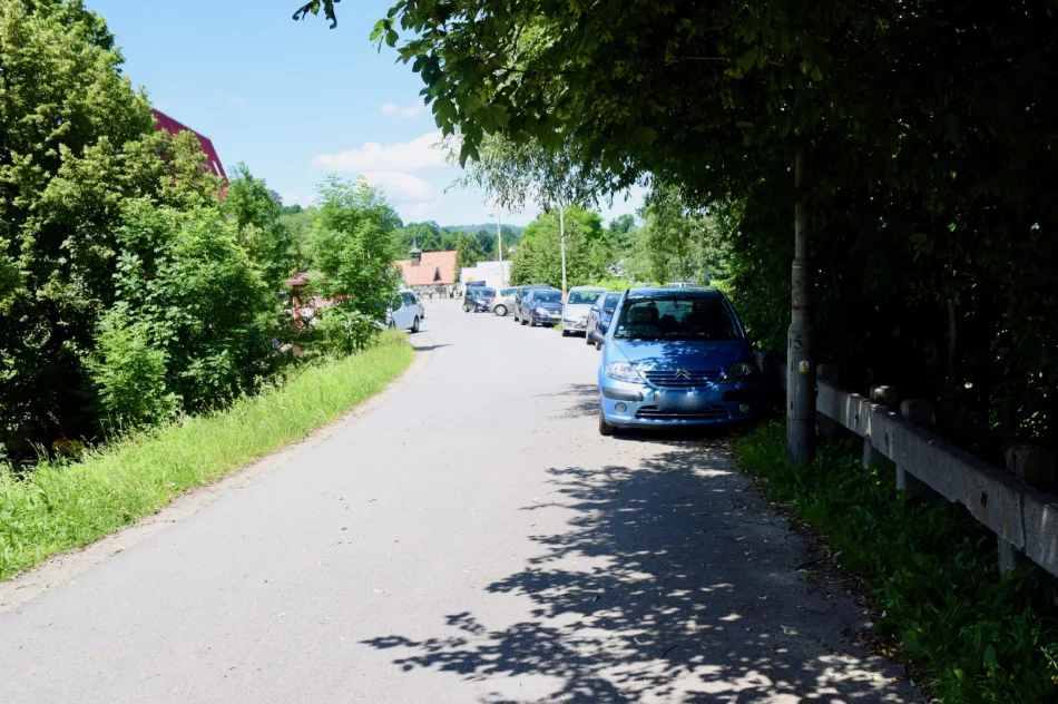 Szwedzki … najazd - zdjęcie 2