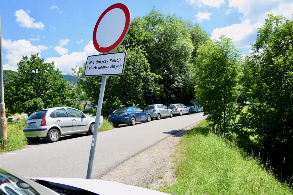 Szwedzki … najazd - zdjęcie 3