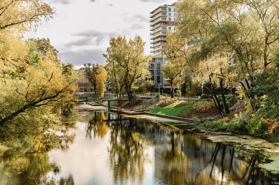 Centrum Ogrodnicze Park-M zostało zamknięte. Firma stawia na profesjonalizm oraz specjalizację    - zdjęcie 5