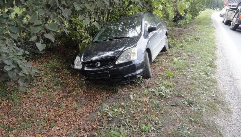 Świniarsko – samochód wypadł z drogi - zdjęcie 1