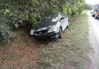 Świniarsko – samochód wypadł z drogi - zdjęcie główne