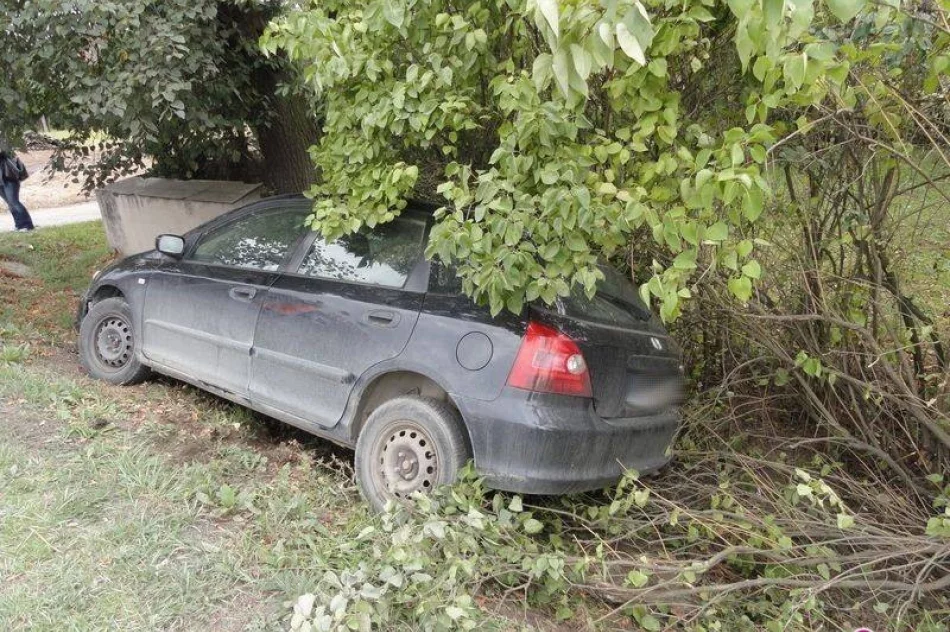 Świniarsko – samochód wypadł z drogi - zdjęcie 3