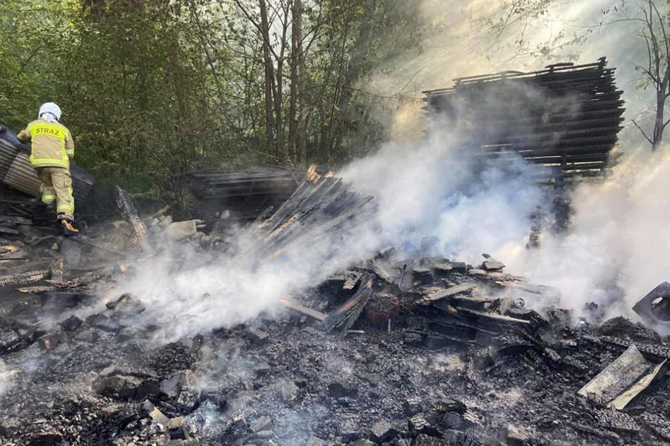 20 strażaków gasiło pożar na terenie zakładu produkcyjnego - zdjęcie 4