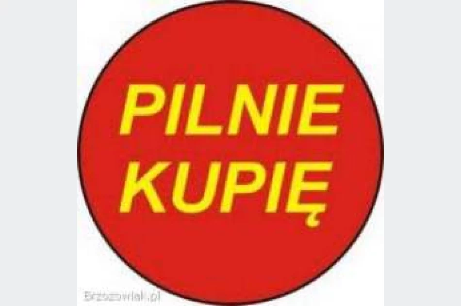 TEL.-725-430-051_SKUP AUT_KUPIMY KAŻDE_>AUTO_SKUP_Samochodów DZIŚ DZWONISZ-DZIŚ SPRZEDAJESZ SZYBKI DOJAZD Z GOTÓWKĄ - zdjęcie 5