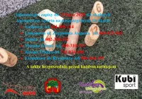 Wakacyjny Turniej Molkky - zdjęcie główne