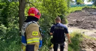 W parku zauważono mężczyznę w korycie potoku. Służby wydobyły go z wody i zabrały do szpitala - zdjęcie 2