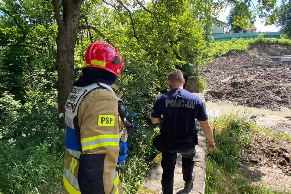 W parku zauważono mężczyznę w korycie potoku. Służby wydobyły go z wody i zabrały do szpitala - zdjęcie 2