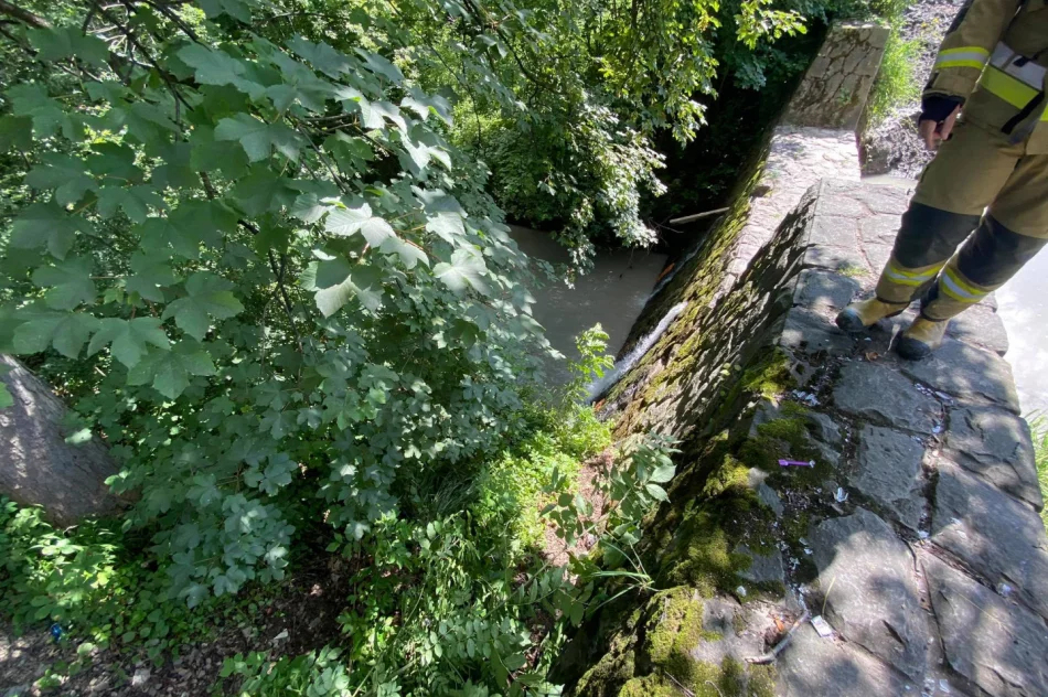 W parku zauważono mężczyznę w korycie potoku. Służby wydobyły go z wody i zabrały do szpitala - zdjęcie 3