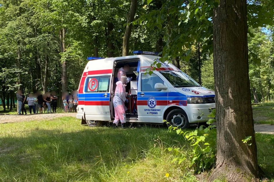 W parku zauważono mężczyznę w korycie potoku. Służby wydobyły go z wody i zabrały do szpitala - zdjęcie 4