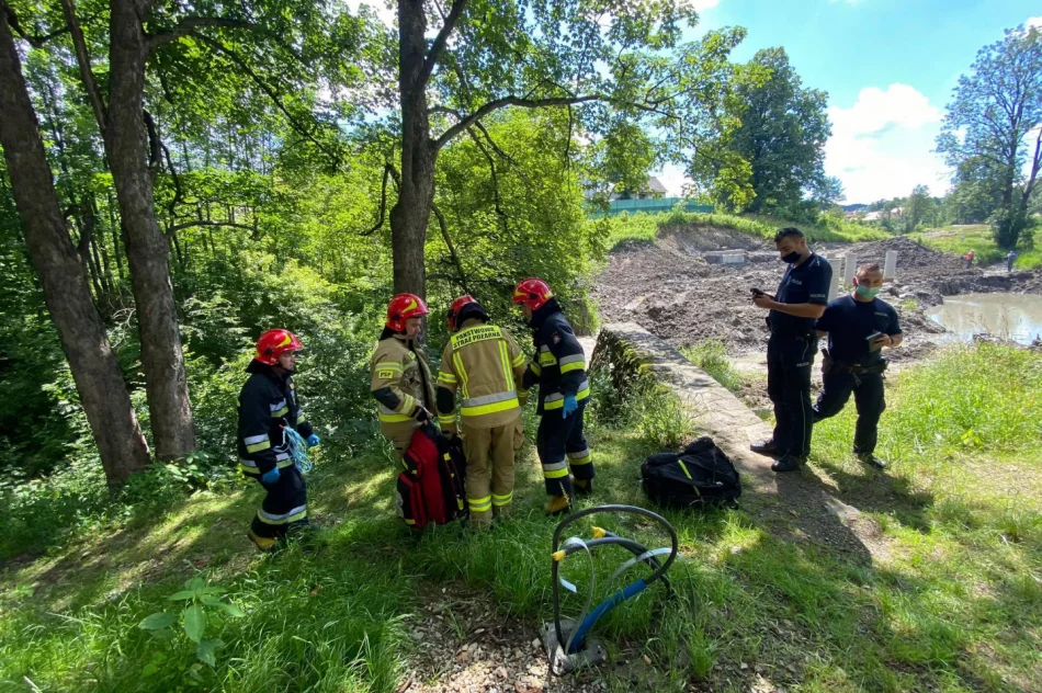 W parku zauważono mężczyznę w korycie potoku. Służby wydobyły go z wody i zabrały do szpitala - zdjęcie 6