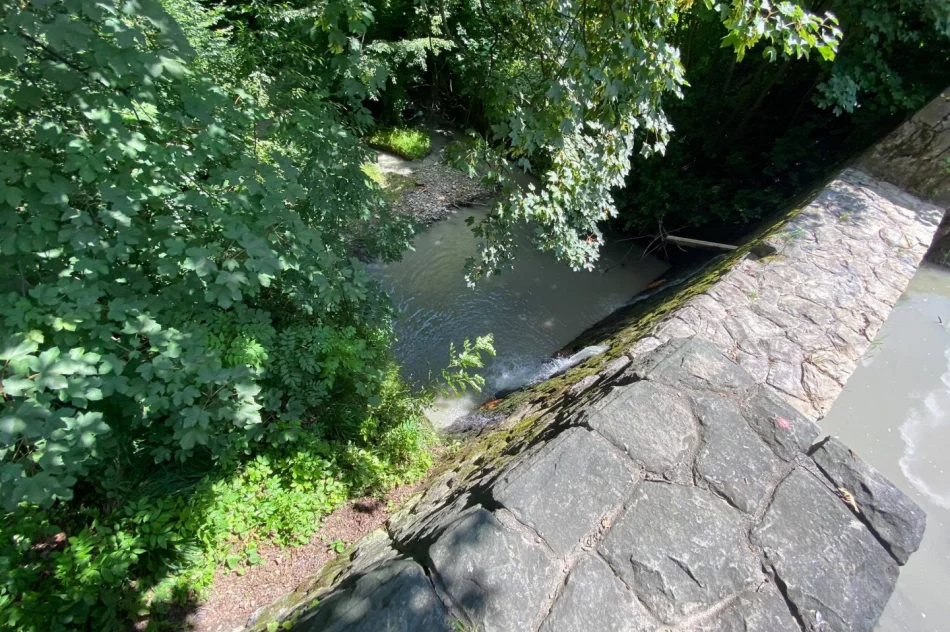 W parku zauważono mężczyznę w korycie potoku. Służby wydobyły go z wody i zabrały do szpitala - zdjęcie 7