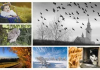 Konkurs fotograficzny po raz piąty ma ukazać piękno gminy - zdjęcie główne