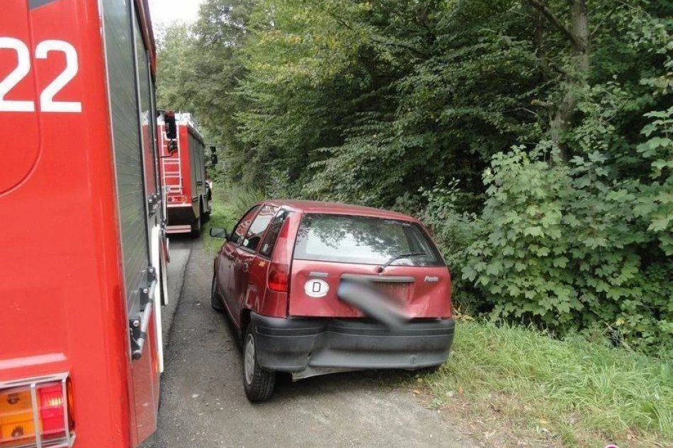 Naściszowa - zderzenie dwóch aut, dwie osoby ranne w tym dziecko - zdjęcie 3