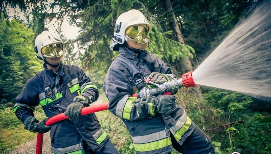 Płonął duży kompleks leśny w Gorcach - ćwiczyło 200 osób (video) - zdjęcie 1