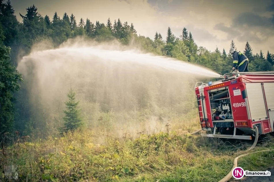 Płonął duży kompleks leśny w Gorcach - ćwiczyło 200 osób (video) - zdjęcie 2