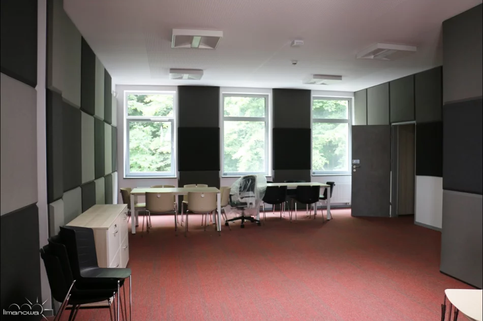LIMANOWSKI DOM KULTURY – EFEKTOWNE ZMIANY - zdjęcie 13