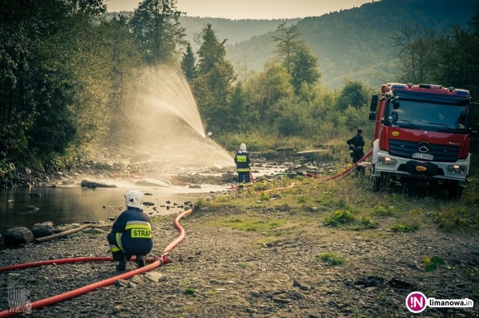 Płonął duży kompleks leśny w Gorcach - ćwiczyło 200 osób (video) - zdjęcie 3
