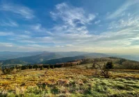 Konsultacje społeczne Programu Ochrony Powietrza - zdjęcie główne