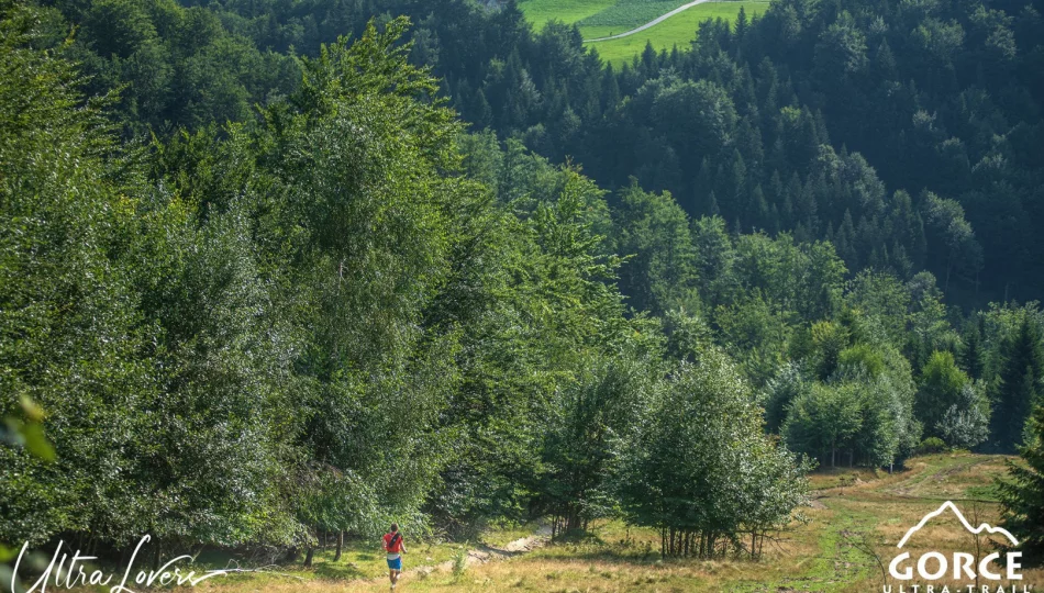 Duże zainteresowanie rywalizacją w biegu, mimo sytuacji epidemiologicznej - zdjęcie 1