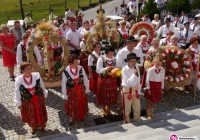 Gminne Święto Plonów - zdjęcie główne