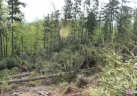 Nadal w kilku gminach brakuje wody - zdjęcie główne