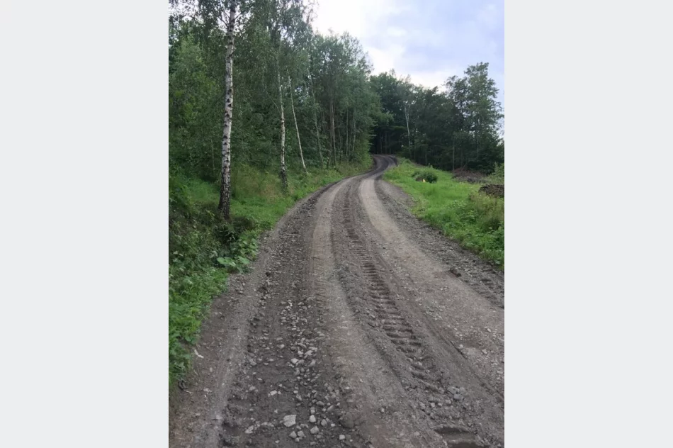 Trwają prace w Siekierczynie na odcinku 3,3 kilometrów drogi „Podlas” - zdjęcie 6