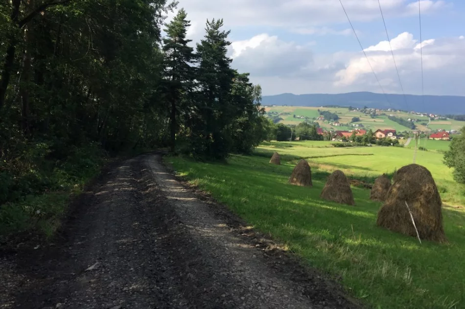 Trwają prace w Siekierczynie na odcinku 3,3 kilometrów drogi „Podlas” - zdjęcie 10