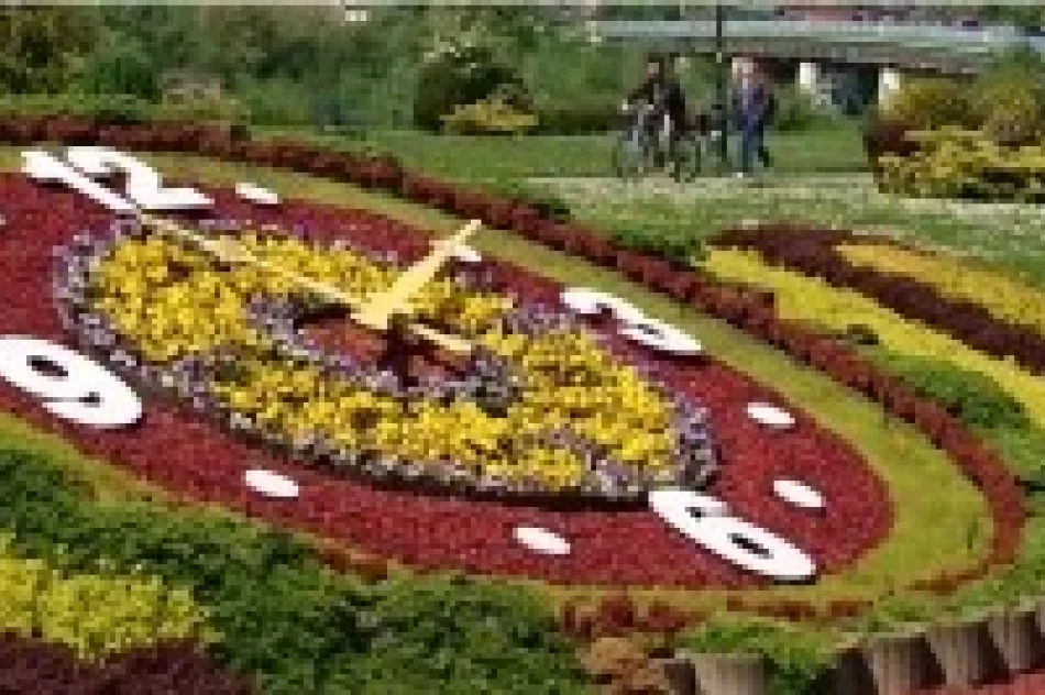 Wydział Gospodarki Komunalnej Urzędu Miasta ma nową stronę - zdjęcie 3